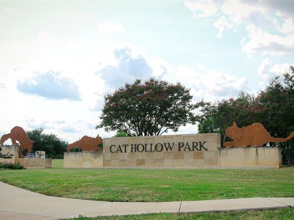 16911 Dorman DR, Round Rock TX 78681