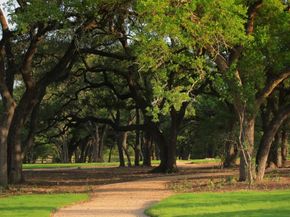 205 Belford ST, Georgetown TX 78628