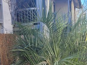 2410 Enfield RD 7, Austin TX 78703