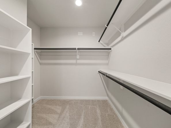 1976 Scarlet Yaupon Way, Conroe TX 77301