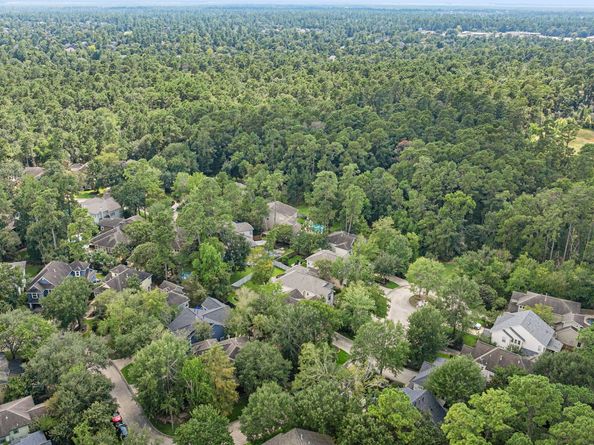 6 Cloud Bank Place, The Woodlands TX 77382