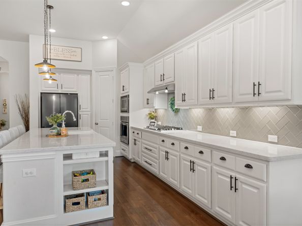 1033 Bat Hawk Court, Conroe TX 77385
