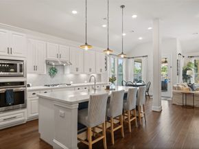 1033 Bat Hawk Court, Conroe TX 77385