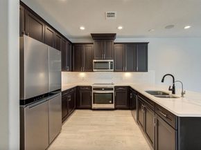 1517 Canter Bayou Way, Houston TX 77043