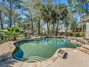 22 Royal Dalton Circle, Conroe TX 77304