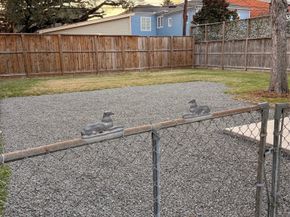 537 Columbia Street, Houston TX 77007