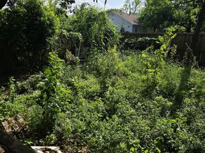 2305 Elysian Street, Houston TX 77026