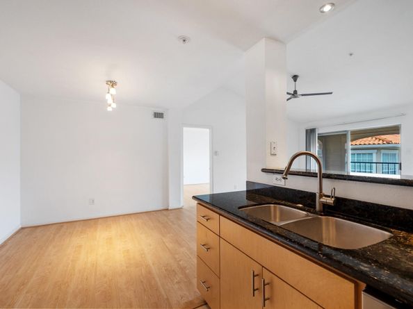 3231 Allen Parkway 4307, Houston TX 77019