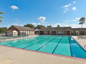 14211 Pinefrost Lane, Cypress TX 77429