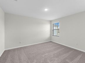 10336 Vinca Minor Lane, Houston TX 77016