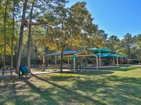 25207 Firewood Lane, Spring TX 77373