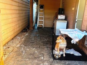 6352 Glenhagen Drive, Houston TX 77084