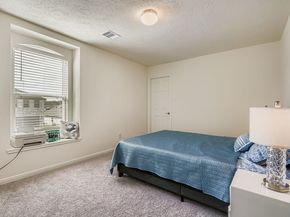 25606 White Alpine Drive, Spring TX 77373