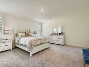 25606 White Alpine Drive, Spring TX 77373