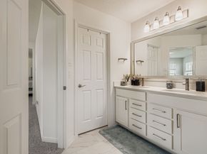 25606 White Alpine Drive, Spring TX 77373