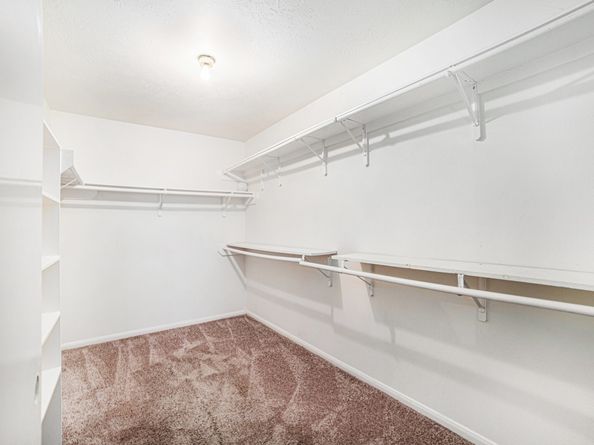12222 Cobbs Creek Road, Houston TX 77067