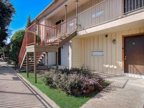 8110 Albacore Drive 38, Houston TX 77074