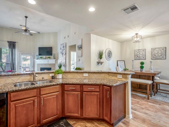 18605 Syndee Loch Court, Spring TX 77379