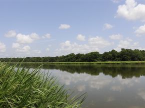 19019 Crest Cove Drive, Cypress TX 77433