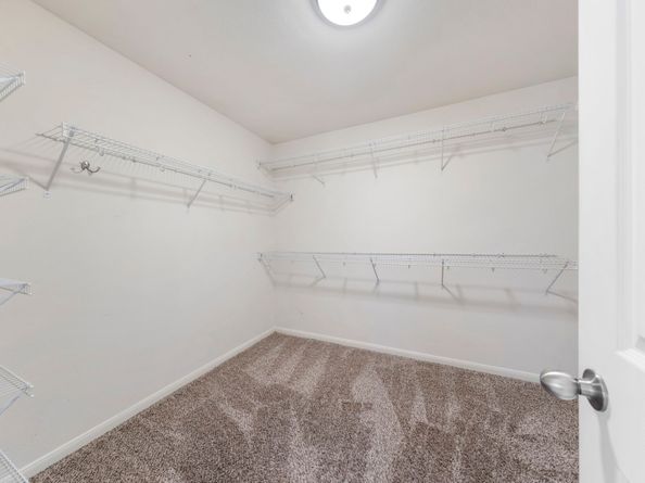 31602 Forest Oak Park Court, Conroe TX 77385