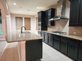 20527 S Blue Hyacinth Drive, Cypress TX 77433