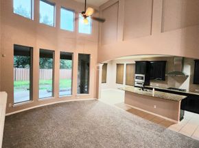 20527 S Blue Hyacinth Drive, Cypress TX 77433