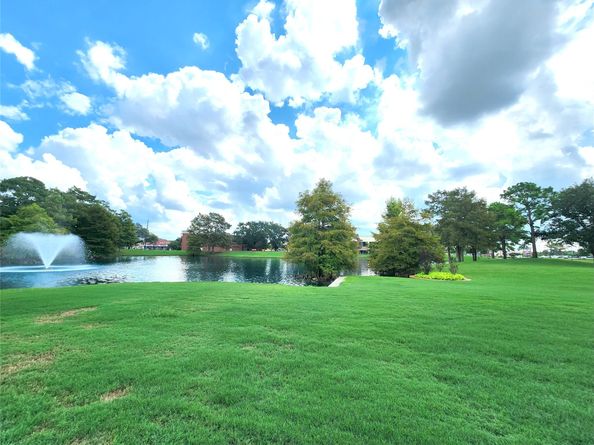 20527 S Blue Hyacinth Drive, Cypress TX 77433