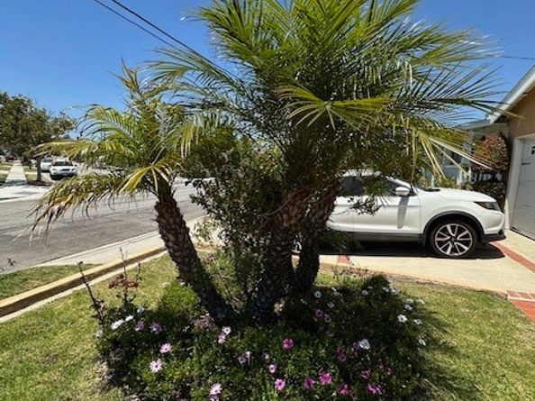 22908 Ladeene Avenue, Torrance CA 90505