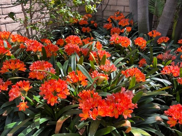 434 S Irving Boulevard, Los Angeles CA 90020