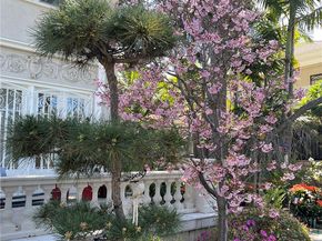 434 S Irving Boulevard, Los Angeles CA 90020