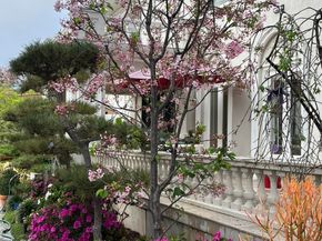 434 S Irving Boulevard, Los Angeles CA 90020