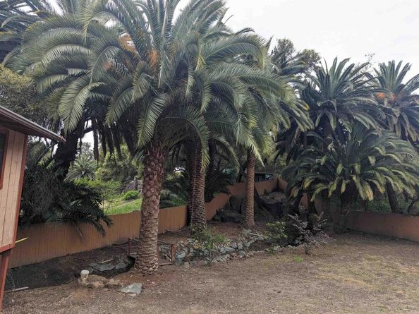 25734 Willow Lane, Escondido CA 92026