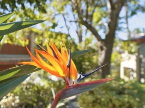 4455 Home Ave 2, San Diego CA 92105