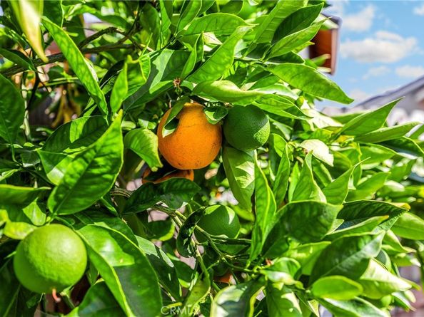 25885 Trabuco Road 306, Lake Forest CA 92630