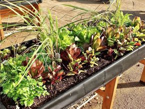 1891 McKinney Way 26B, Seal Beach CA 90740