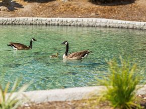 5700 Baltimore Drive 223, La Mesa CA 91942