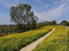 5700 Baltimore Drive 223, La Mesa CA 91942