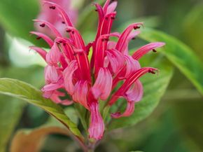 1010 Myrtle Way, San Diego CA 92103