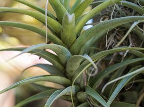 1010 Myrtle Way, San Diego CA 92103