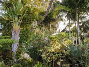 1010 Myrtle Way, San Diego CA 92103