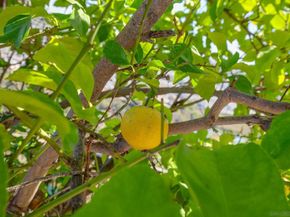 6399 Rancho Mission 2, San Diego CA 92108