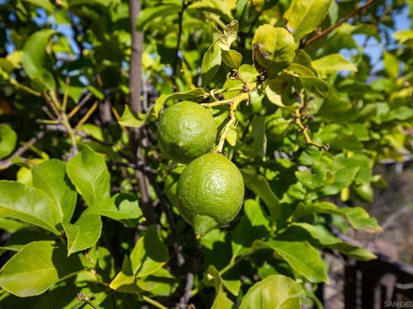 6399 Rancho Mission 2, San Diego CA 92108