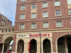 1155 S Grand Avenue 801, Los Angeles CA 90015