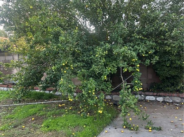 404 Sievers Avenue, Brea CA 92821