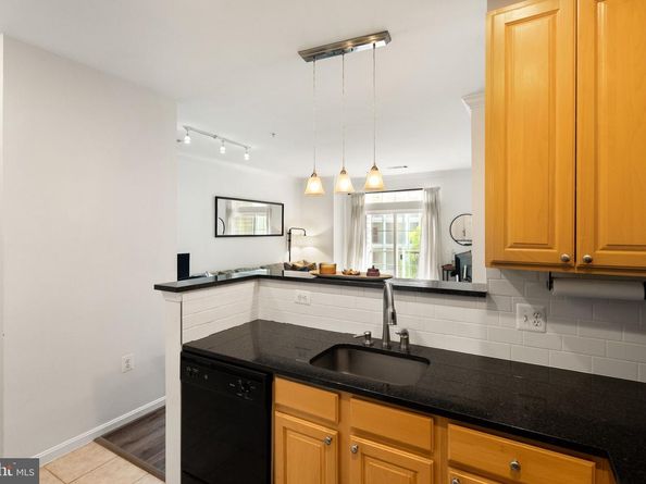 2465 Army Navy Drive 204, Arlington VA 22206