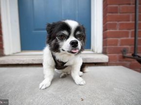 1926 Poplar Street 1, Philadelphia PA 19130