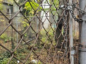 4943 N Warnock Street, Philadelphia PA 19141