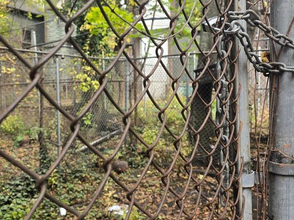 4943 N Warnock Street, Philadelphia PA 19141