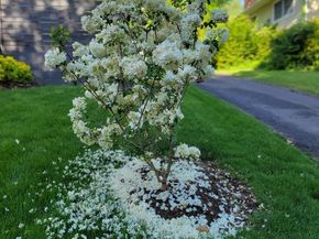 3431 14TH Street N, Arlington VA 22201