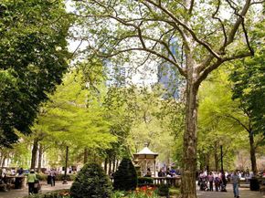 224-30 W Rittenhouse Square 2110, Philadelphia PA 19103